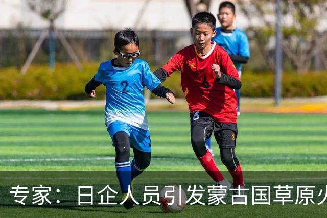 专家：日企人员引发蒙古国草原火灾的生态影响复杂
